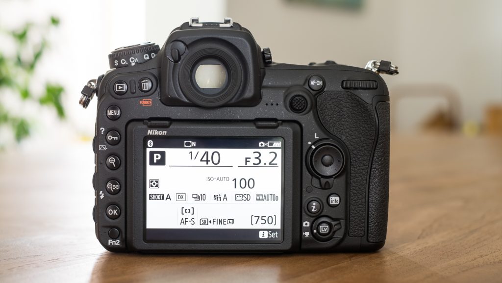 Amatör Fotoğrafçılara Tavsiyeler 1 nikon d500 back