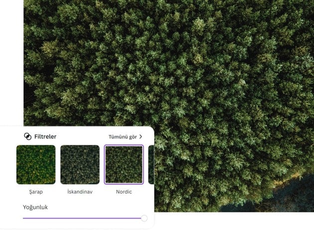 fotografa filtre uygulama Canva.89b53e41