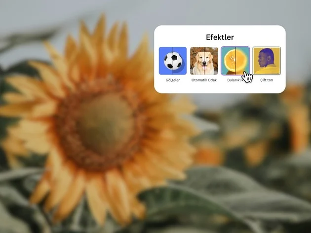 resim bulaniklastirma araci Canva